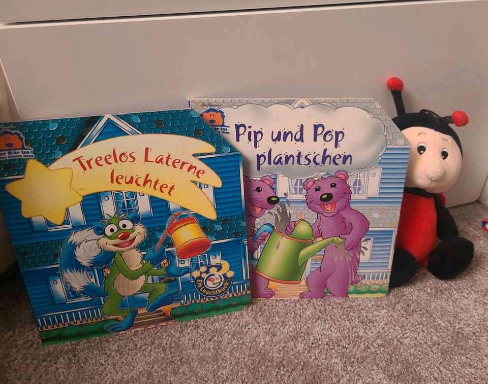 Verschiedene Kinderbücher in Plauen