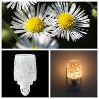 Scentsy Elektrische Duftlampe Charming Garden Sachsen - Schkeuditz Vorschau