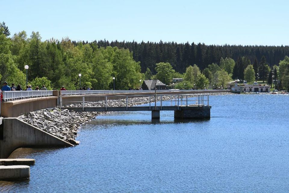 Fewo in idyllischer Waldlage im Erzgebirge/Greifenbachstauweiher in Chemnitz