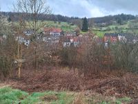 Grundstück Streuobstwiese Garten Freizeitgrundstück Weibersbrunn Bayern - Aschaffenburg Vorschau