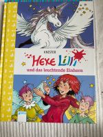 Hexe Lilli und das leuchtende Einhorn♥️ Bayern - Ingolstadt Vorschau