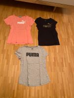 T-Shirts Damen, Puma, Gr. M/L, Oberteil Puma Bayern - Neusäß Vorschau