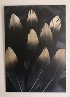 Westwing Alu-Dibond Bild Wandbild Golden Feather, 70x100 cm Baden-Württemberg - Allmendingen Vorschau