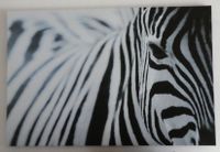 Zebra Bild  auf Leinwand, XXL Ikea 118x78 cm Rheinland-Pfalz - Theismühlen Vorschau