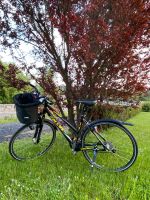 26 Zoll Fahrrad der Marke "Kelly" Hessen - Flieden Vorschau
