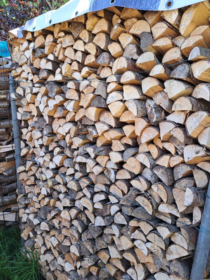 Brennholz, Kaminholz, Knickholz zu verkaufen in Stuvenborn