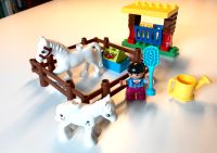 Lego Duplo- Pferde Düsseldorf - Stadtmitte Vorschau