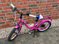 S'cool Nixe 16 Zoll Fahrrad in Pink Berlin - Köpenick Vorschau
