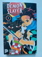 Demon Slayer Manga Band 1 Hessen - Hanau Vorschau