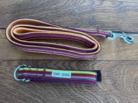 Set Halsband + Leine Hunde Katzen Haustier Gr. S Rheinland-Pfalz - Trier Vorschau