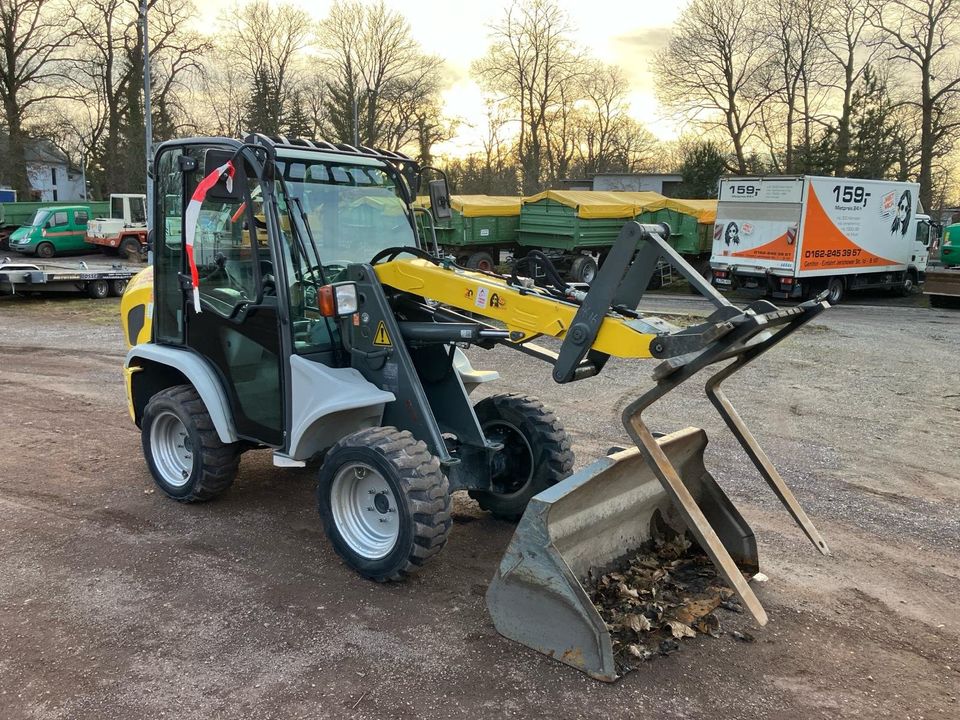 Radlader Kramer 5035 Gebrauchtmaschine in Oschersleben