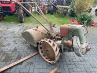 bungartz gartenfräse motorhacke bodenfräse schlepper traktor Nordrhein-Westfalen - Gronau (Westfalen) Vorschau