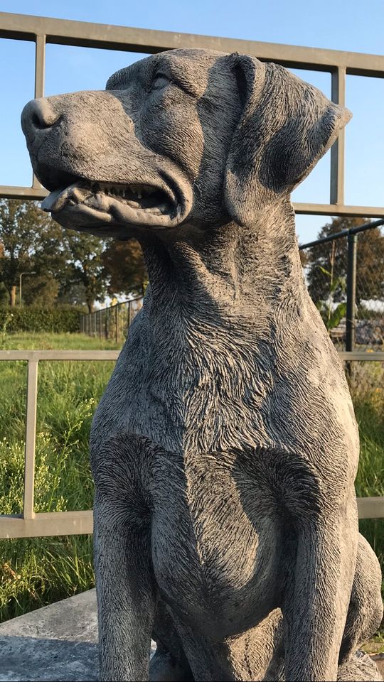 Labrador Retriever 80cm 90kg Lebensgroß Steinguss Labbi Lab Hund in Karlsruhe