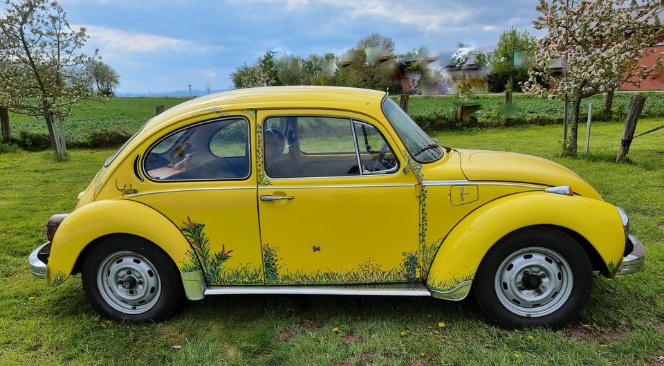 Oldtimer VW Käfer 1303 Baujahr 1974 Unikat 50 PS G-Kat in Borgentreich