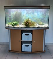Aquarium mit Unterschrank und LED-Beleuchtung Nordrhein-Westfalen - Mechernich Vorschau