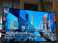 OLED tv 55 Zoll 2022 Walle - Steffensweg Vorschau