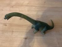 5x Schleich Dinosaurier Nordrhein-Westfalen - Telgte Vorschau