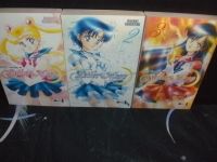 Sailor Moon Band 1 - 3 Wandsbek - Hamburg Tonndorf Vorschau