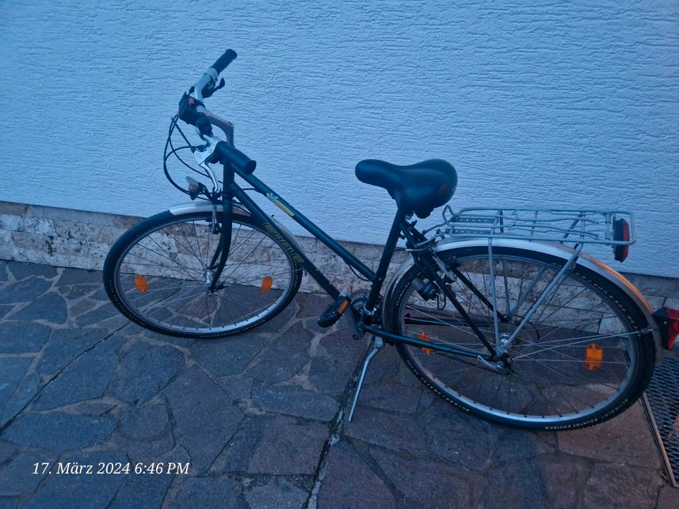 Damenfahrrad 28Zoll *Epple* in Bergrheinfeld