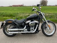 Harley-Davidson Softail Standard & Zubehör (ähnlich Street Bob) Münster (Westfalen) - Hiltrup Vorschau