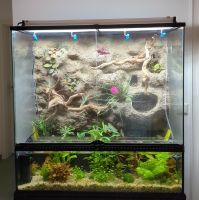 Exo Terra Paludarium 90x45x90 cm inkl. Unterschrank & Zubehör Baden-Württemberg - Heidenheim an der Brenz Vorschau