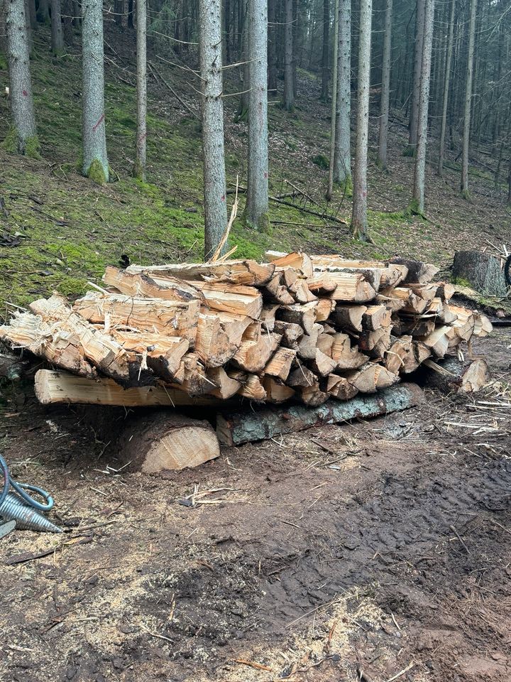 Brennholz Kiefer Fichte Frisch in Erfweiler