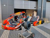 CRG - Road Rebel TM R1 Schalt Kart Nordrhein-Westfalen - Bocholt Vorschau