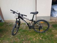 Damenfahrrad Bayern - Mellrichstadt Vorschau