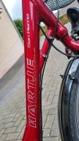 Hartje San Remo Manufaktur Damen Fahrrad 7 Gang Rücktrittbremse Nordrhein-Westfalen - Alfter Vorschau