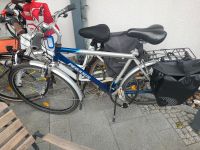 Herrn Fahrrad 28 zoll Pegasus Berlin - Steglitz Vorschau