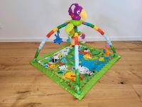 Fisher Price Rainforest Spielebogen Erlebnisbogen Spieldecke Hessen - Rockenberg Vorschau