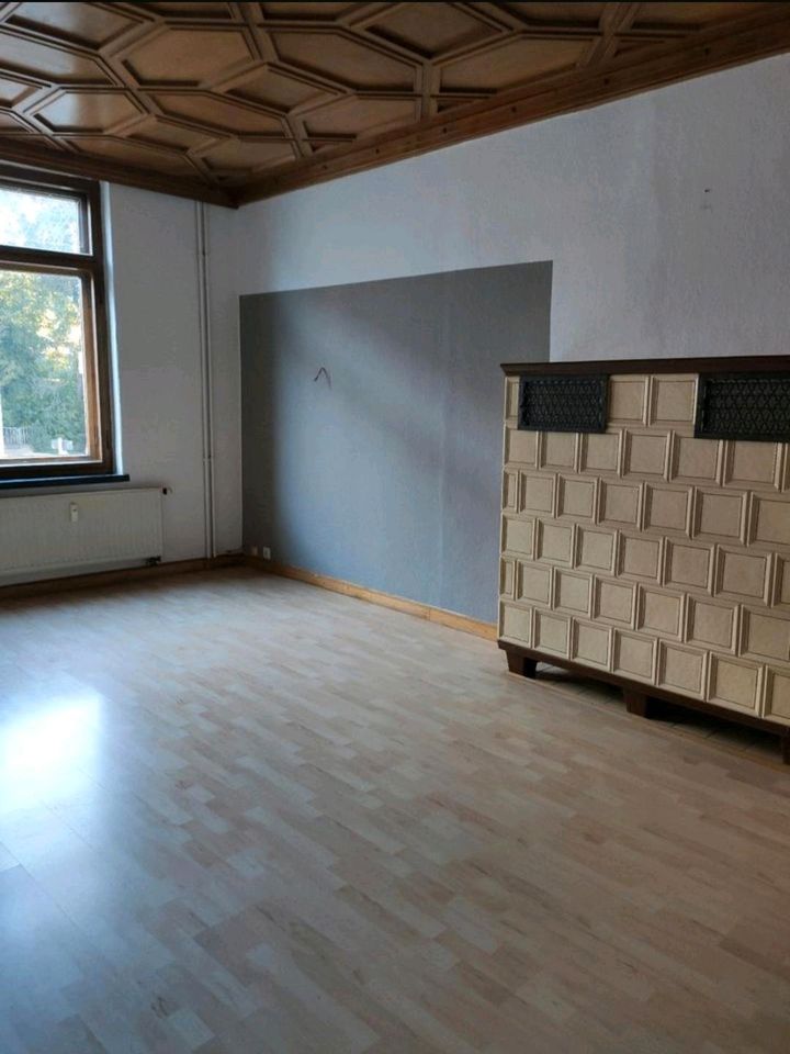 Große 4 Zi. Wohnung mit Balkon und Garten in Auerbach in Auerbach (Vogtland)