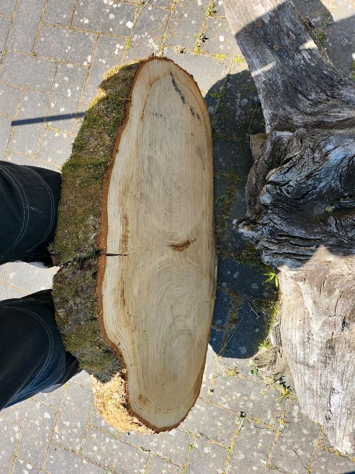 XL ♧♧  Eiche Baumscheiben Tischplatte Esstisch Holz massiv Couch in Groß Wittensee