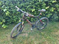 Ghost Herren Fahrrad Mountainbike 26 Zoll Bayern - Pegnitz Vorschau