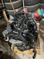 Motor Audi VW Seat Skoda 1.6 TDI CAY CAYD CAYD 105PS komplett Berlin - Wilmersdorf Vorschau