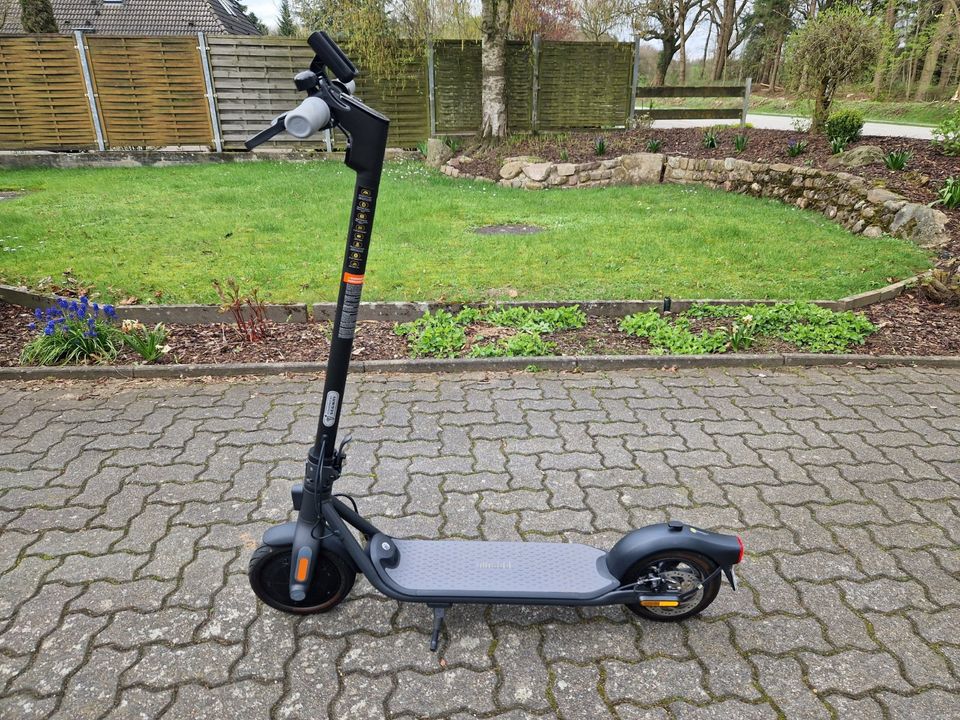 E-Roller Segway Ninebot F20 D in Bahrenfleth