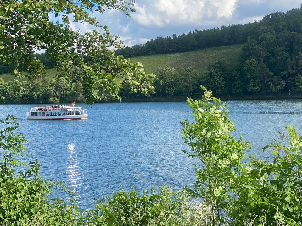 Ferienhaus direkt am Diemelsee/Willingen, Seeblick, Sauna in Diemelsee