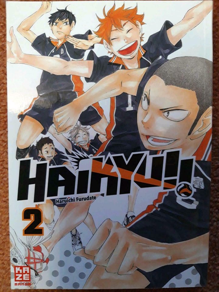 "Haikyu".... Teil 1 & 2 / Mangabücher in Topzustand!!! in Cottbus