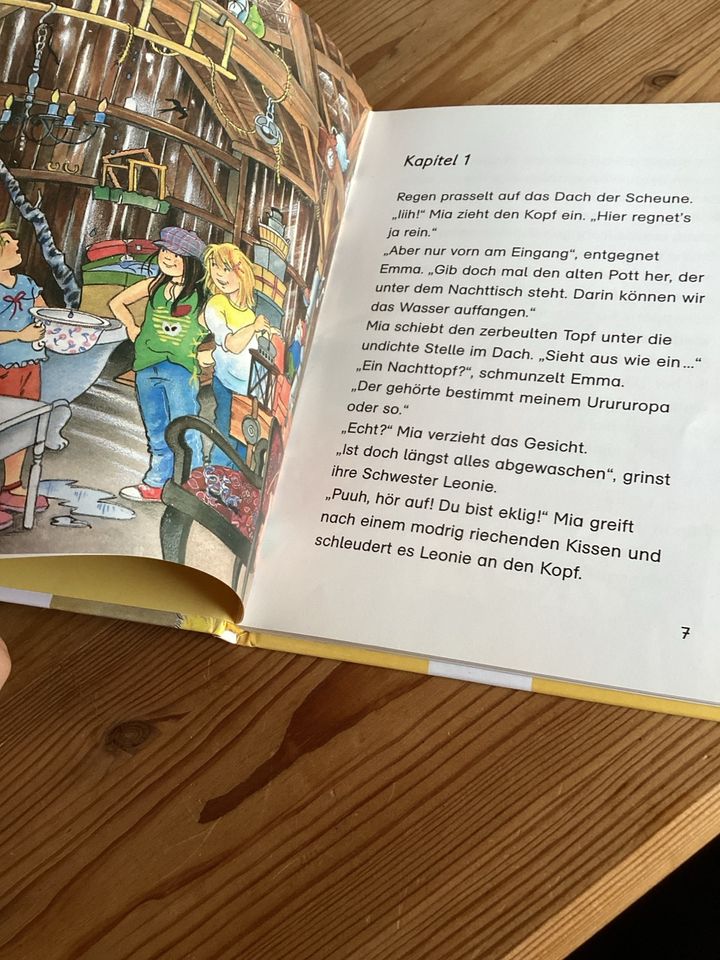 der Schatz in der Scheune Buch in Elze