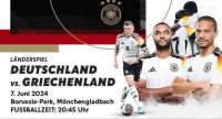 1 Ticket Deutschland - Griechenland (DFB Fan Block 16A) Hessen - Offenbach Vorschau