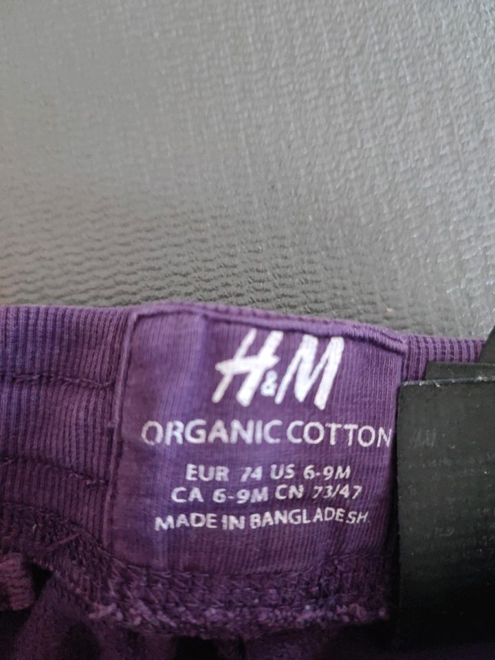 Jogginghose H&M 74 in Hambrücken