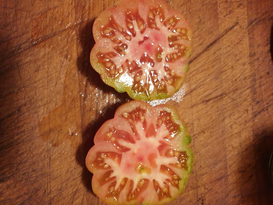 Tomaten  Samen  über 100 Sorten aus meinem  wilden Garten in Leipzig