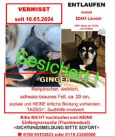 ❤️ Ginger ist gesichert ❤️ Nordrhein-Westfalen - Linnich Vorschau