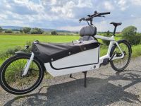 eBULLITT STePS Nexus 5 Di2, Milk+ Lastenrad Bullitt Elektro Niedersachsen - Katlenburg-Lindau Vorschau