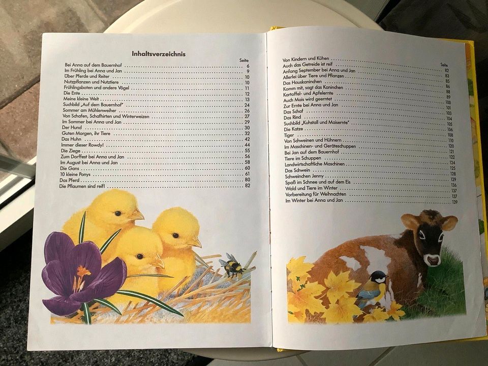 Die schönsten Bauernhofgeschichten, Kinderbuch, Leseanfänger in Winseldorf