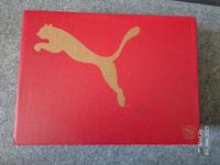 Puma Caven 2.0 Mid Brandenburg - Lübbenau (Spreewald) Vorschau