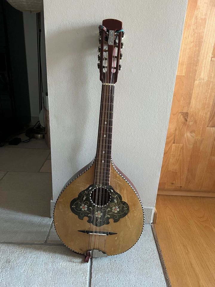 Waldzither Mandola Karel Pilar 9 Saiten in Waren (Müritz)