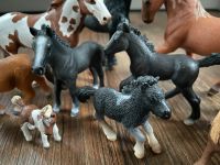 Wunderschöne Schleich Pferde Thüringen - Waltershausen Vorschau