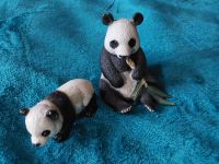 Schleich Panda mit Baby Kreis Pinneberg - Pinneberg Vorschau