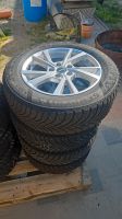 VW Audi Skoda Seat Winterreifen 205/60R16 Bayern - Grafenwöhr Vorschau